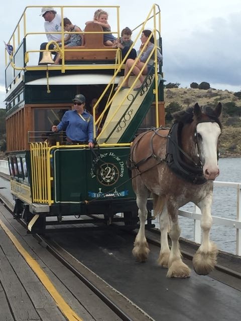 Horse Drawn Tram Victor Harbour