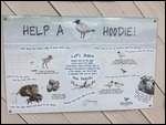 Help a Hoodie